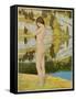 A Naked Woman Standing by a Lake, Looking Thoughtful-null-Framed Stretched Canvas