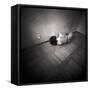 A Naked Woman Tied with Electric Flex Lying on the Floor of a Room-Rafal Bednarz-Framed Stretched Canvas