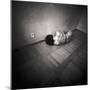 A Naked Woman Tied with Electric Flex Lying on the Floor of a Room-Rafal Bednarz-Mounted Photographic Print