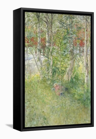 A Nap Outdoors-Carl Larsson-Framed Stretched Canvas