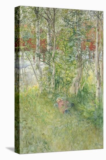 A Nap Outdoors-Carl Larsson-Stretched Canvas