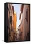 A Narrow Backstreet in the Heart of Florence, Tuscany, Italy, Europe-Julian Elliott-Framed Stretched Canvas