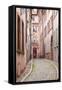 A Narrow Backstreet in the La Petite France-Julian Elliott-Framed Stretched Canvas