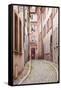 A Narrow Backstreet in the La Petite France-Julian Elliott-Framed Stretched Canvas