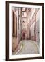 A Narrow Backstreet in the La Petite France-Julian Elliott-Framed Photographic Print