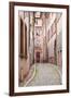 A Narrow Backstreet in the La Petite France-Julian Elliott-Framed Photographic Print