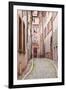 A Narrow Backstreet in the La Petite France-Julian Elliott-Framed Photographic Print