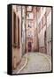 A Narrow Backstreet in the La Petite France-Julian Elliott-Framed Stretched Canvas