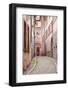 A Narrow Backstreet in the La Petite France-Julian Elliott-Framed Photographic Print