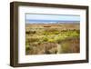 A narrow footpath towards the ocean, San Luis Obispo County, California, Usa.-Susan Pease-Framed Photographic Print