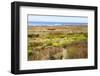 A narrow footpath towards the ocean, San Luis Obispo County, California, Usa.-Susan Pease-Framed Photographic Print