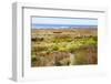 A narrow footpath towards the ocean, San Luis Obispo County, California, Usa.-Susan Pease-Framed Photographic Print