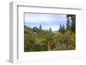 A narrow path at Logan Shoals Vista, Zephyr Cove, Lake Tahoe, Nevada, Usa-Susan Pease-Framed Photographic Print