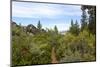 A narrow path at Logan Shoals Vista, Zephyr Cove, Lake Tahoe, Nevada, Usa-Susan Pease-Mounted Photographic Print