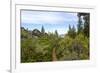 A narrow path at Logan Shoals Vista, Zephyr Cove, Lake Tahoe, Nevada, Usa-Susan Pease-Framed Photographic Print