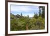 A narrow path at Logan Shoals Vista, Zephyr Cove, Lake Tahoe, Nevada, Usa-Susan Pease-Framed Photographic Print