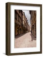 A Narrow Street with Half Timbered Houses in the Old City of Dijon, Burgundy, France, Europe-Julian Elliott-Framed Photographic Print