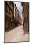 A Narrow Street with Half Timbered Houses in the Old City of Dijon, Burgundy, France, Europe-Julian Elliott-Mounted Photographic Print