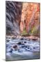 A Narrows View, Zion-Vincent James-Mounted Photographic Print