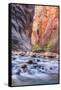 A Narrows View, Zion-Vincent James-Framed Stretched Canvas