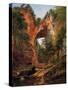 A Natural Bridge, Virginia, 1860-David Johnson-Stretched Canvas