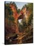 A Natural Bridge, Virginia, 1860-David Johnson-Stretched Canvas