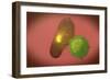 A Natural Killer Cell Injects Toxin into a Bacterium-null-Framed Premium Giclee Print