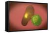 A Natural Killer Cell Injects Toxin into a Bacterium-null-Framed Stretched Canvas