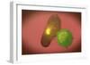A Natural Killer Cell Injects Toxin into a Bacterium-null-Framed Art Print