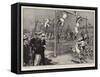 A Naval Athletic Gathering, Scaling the Torpedo Net in the Obstacle Race-Frederic De Haenen-Framed Stretched Canvas