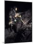 A Navy Seal Crosses the Beach at Night Fully Armed-Stocktrek Images-Mounted Photographic Print