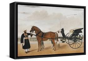 A Nawab Standing by His Horse Drawn Gharry or Carriage Attended by His Groom Bearing a Chauri-Shaikh Muhammad Amir Of Karraya-Framed Stretched Canvas