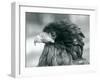 A near Threatened Bateleur Eagle at London Zoo in 1927 (B/W Photo)-Frederick William Bond-Framed Giclee Print