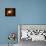 A Nebula Surrounded by Stars-Stocktrek Images-Stretched Canvas displayed on a wall