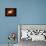 A Nebula Surrounded by Stars-Stocktrek Images-Mounted Photographic Print displayed on a wall