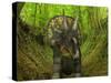 A Nedoceratops Wanders a Cretaceous Forest-Stocktrek Images-Stretched Canvas