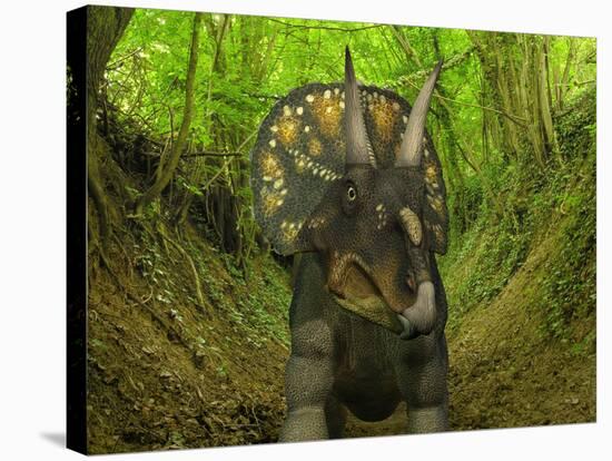 A Nedoceratops Wanders a Cretaceous Forest-Stocktrek Images-Stretched Canvas