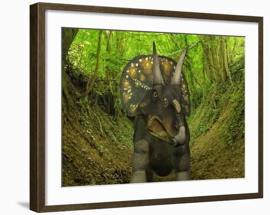 A Nedoceratops Wanders a Cretaceous Forest-Stocktrek Images-Framed Photographic Print