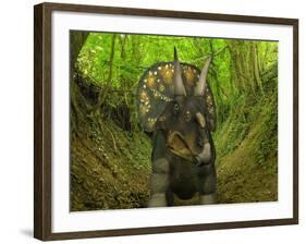 A Nedoceratops Wanders a Cretaceous Forest-Stocktrek Images-Framed Photographic Print