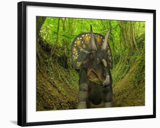 A Nedoceratops Wanders a Cretaceous Forest-Stocktrek Images-Framed Photographic Print