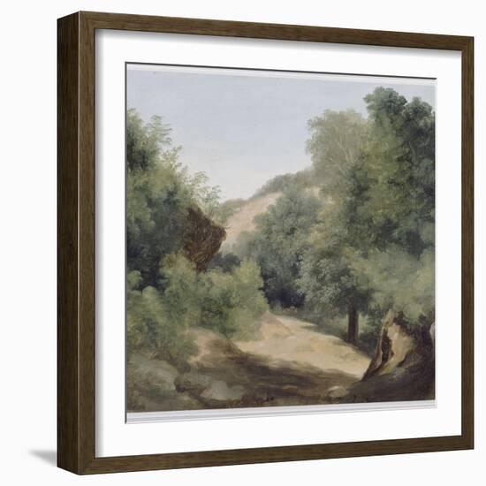 A Nemi : le chemin au soleil-Pierre Henri de Valenciennes-Framed Premium Giclee Print