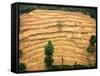 A Nepalese Woman Walks Along Steep Terraced Hills-null-Framed Stretched Canvas