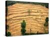 A Nepalese Woman Walks Along Steep Terraced Hills-null-Stretched Canvas