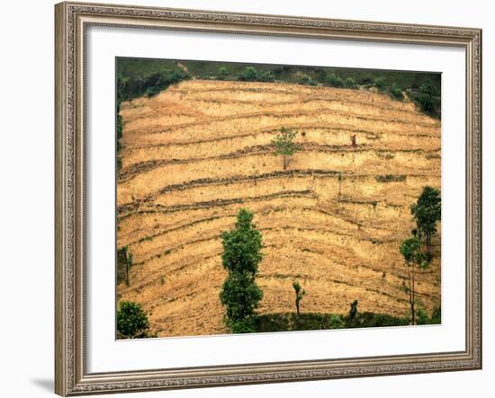 A Nepalese Woman Walks Along Steep Terraced Hills-null-Framed Photographic Print