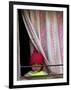 A Nepali Child Looks out from a Window at Pro-Democracy Activists-null-Framed Photographic Print