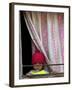 A Nepali Child Looks out from a Window at Pro-Democracy Activists-null-Framed Photographic Print