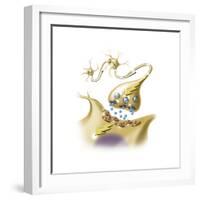 A Nerve Synapse Showing the Release of Neurotransmitters-null-Framed Premium Giclee Print