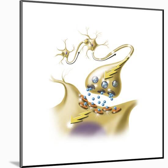 A Nerve Synapse Showing the Release of Neurotransmitters-null-Mounted Art Print