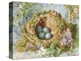 A Nest of Eggs, 1871-Jabez Bligh-Stretched Canvas