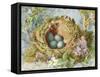 A Nest of Eggs, 1871-Jabez Bligh-Framed Stretched Canvas